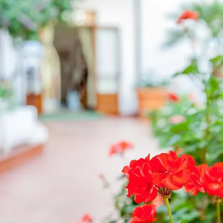 Hotel El Balear Alghero